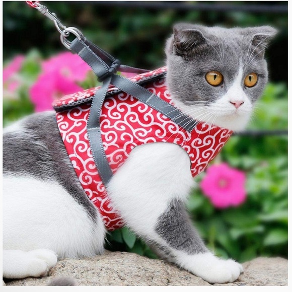 L2MY  Wear Resistant Anti-Rust Breathable Mesh Pet Vest and Matching Leash - Picture 9 of 9